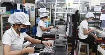 Đề nghị có chính sách đưa chuyên gia Việt Nam đi làm việc ở nước ngoài