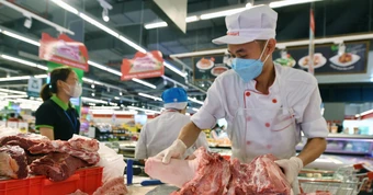 Đề xuất lập Sở An toàn thực phẩm cấp tỉnh, đội An toàn thực phẩm tại xã