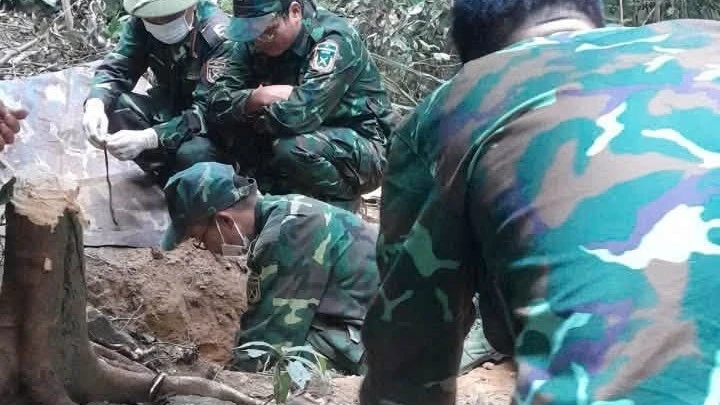Đi rừng tìm mật ong thấy ụ đá giúp quy tập được hài cốt liệt sĩ Đi rừng tìm mật ong thấy ụ đá giúp quy tập được hài cốt liệt sĩ