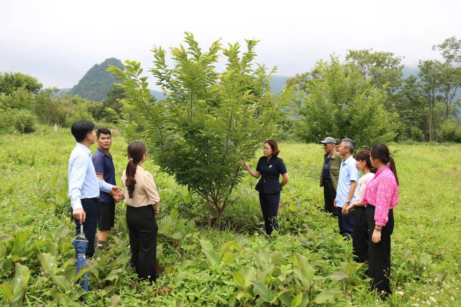 Điểm mới đột phá trong Chỉ thị số 07 về thực hành tư tưởng, phong cách Hồ Chí Minh Điểm mới đột phá trong Chỉ thị số 07 về thực hành tư tưởng, phong cách Hồ Chí Minh
