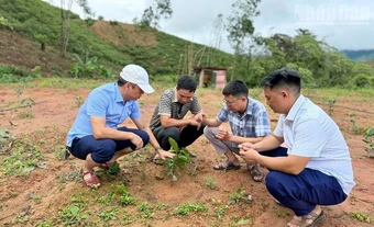 Điện Biên tiếp tục điều động, tăng cường công chức, viên chức từ tỉnh về xã