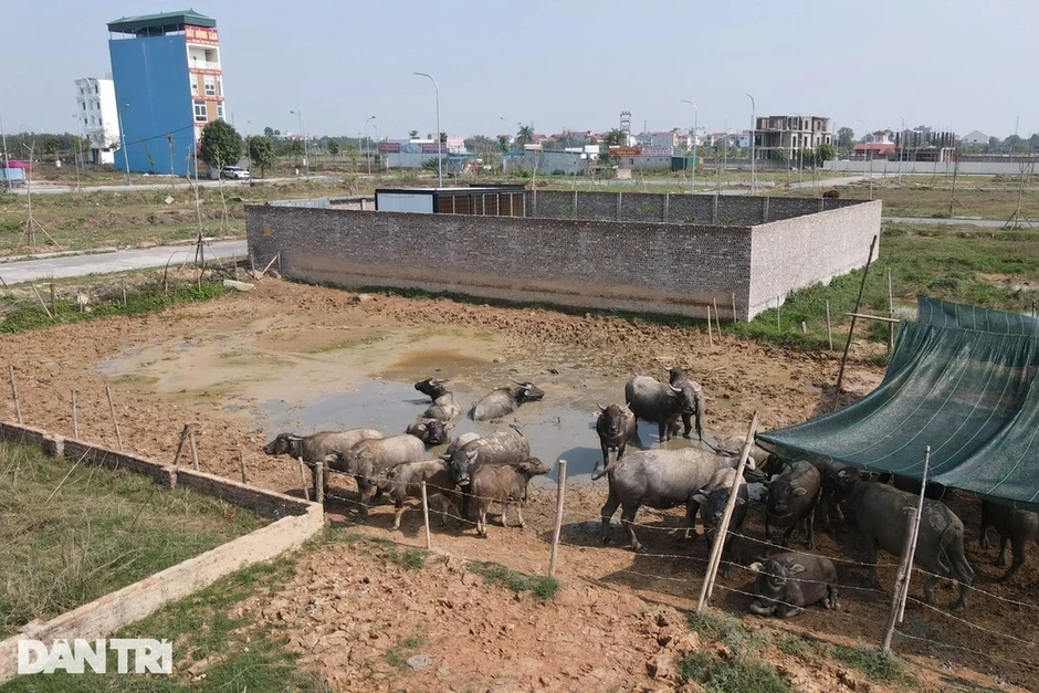 Điều chỉnh quy hoạch sử dụng đất, tăng hơn 1 triệu ha đất phi nông nghiệp Điều chỉnh quy hoạch sử dụng đất, tăng hơn 1 triệu ha đất phi nông nghiệp