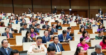 Điều cử tri cần ở người đại biểu ‘không chỉ một chiếc ghế đại diện’