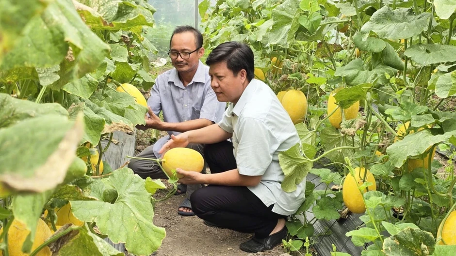 Đồng Nai đưa tổ chức Đảng vào hợp tác xã để thúc đẩy nông nghiệp hiện đại Đồng Nai đưa tổ chức Đảng vào hợp tác xã để thúc đẩy nông nghiệp hiện đại