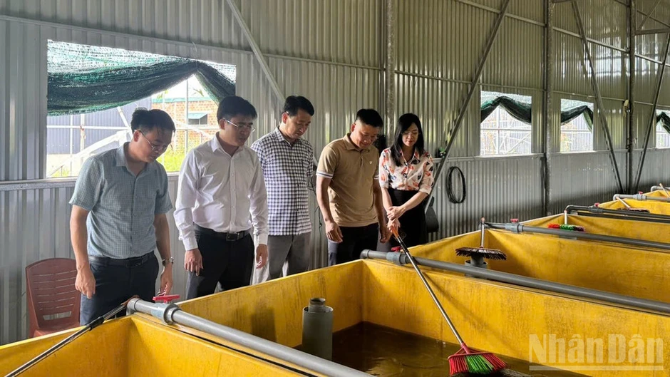 Đột phá từ chuyển đổi số trong công tác chỉ đạo, điều hành Đột phá từ chuyển đổi số trong công tác chỉ đạo, điều hành