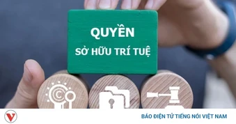 Đưa sở hữu trí tuệ thành một phần quan trọng trong chiến lược phát triển quốc gia
