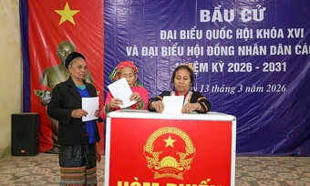 Gác việc nương rẫy, người dân miền núi Nghệ An đi bầu cử sớm - Báo TinVina