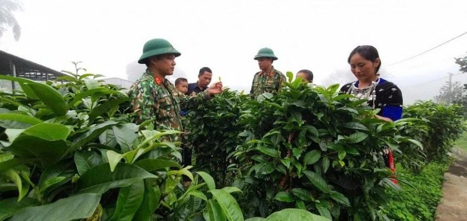 Hiện thực hóa nghị quyết Đại hội bằng những kết quả cụ thể, thiết thực Hiện thực hóa nghị quyết Đại hội bằng những kết quả cụ thể, thiết thực