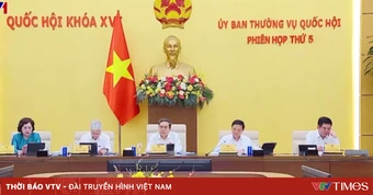 Hoàn thiện pháp luật về hình sự