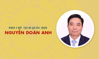 Infographic: Sự nghiệp Phó Chủ tịch Quốc hội khóa XVI Nguyễn Doãn Anh