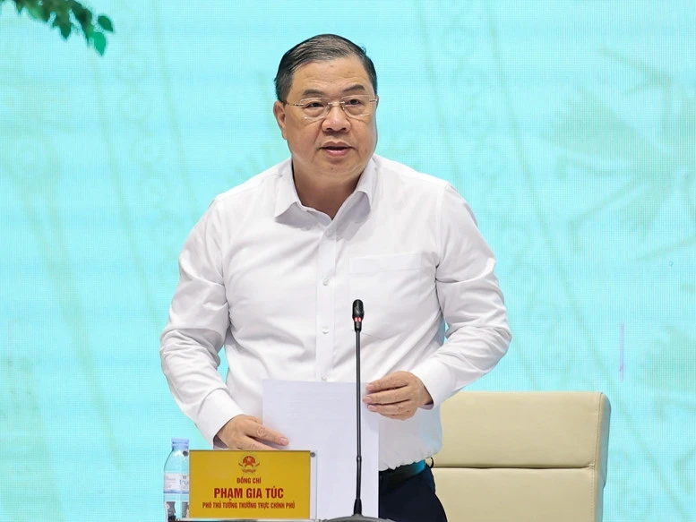 Khẩn trương trình cơ chế đột phá giao ngân sách, giao thẩm quyền trong phát triển KHCN, đổi mới sáng tạo Khẩn trương trình cơ chế đột phá giao ngân sách, giao thẩm quyền trong phát triển KHCN, đổi mới sáng tạo