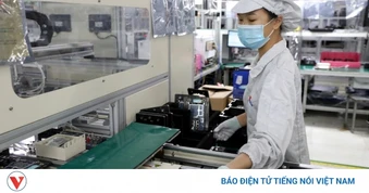 Khoa học cơ bản: “Bộ rễ” quyết định sức bật của nền kinh tế