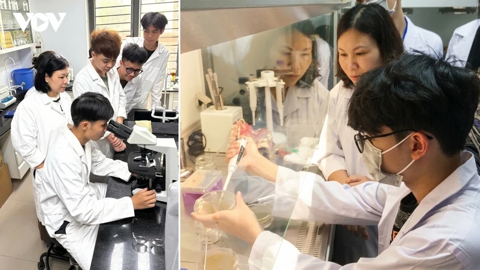 Khoa học cơ bản và tầm nhìn chiến lược từ kết luận của Tổng Bí thư, Chủ tịch nước Khoa học cơ bản và tầm nhìn chiến lược từ kết luận của Tổng Bí thư, Chủ tịch nước