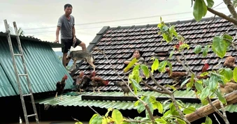 Không để xảy ra tình trạng mưa lũ người dân phải lên nóc nhà kêu cứu