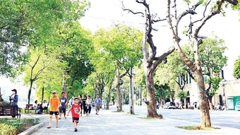 Không gian an toàn, thuận lợi cho người đi bộ