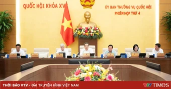 Không làm ảnh hưởng đến môi trường khi thực hiện dự án đô thị lấn biển