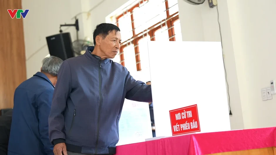 Lá phiếu nơi đầu sóng Lá phiếu nơi đầu sóng