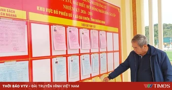 Lá phiếu nơi đầu sóng