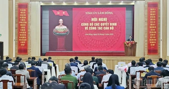 Lâm Đồng điều động, bổ nhiệm nhiều lãnh đạo sở, ngành, địa phương