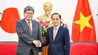 Làm sâu sắc hơn quan hệ Việt Nam-Nhật Bản trong các lĩnh vực chuyển đổi số, chuyển đổi xanh, an ninh năng lượng