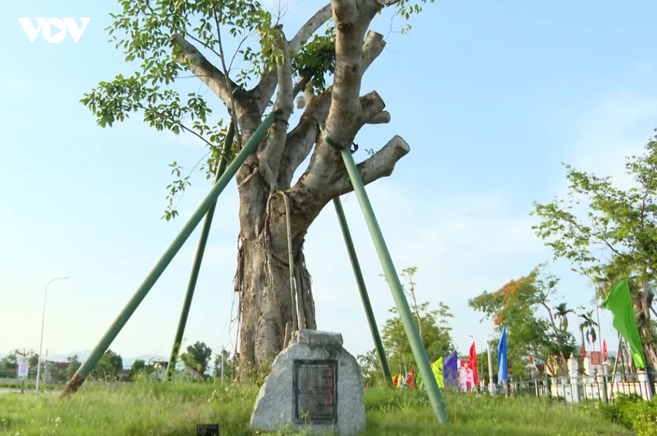Lưu giữ những câu chuyện về Bác cho thế hệ mai sau Lưu giữ những câu chuyện về Bác cho thế hệ mai sau