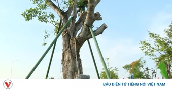 Lưu giữ những câu chuyện về Bác cho thế hệ mai sau