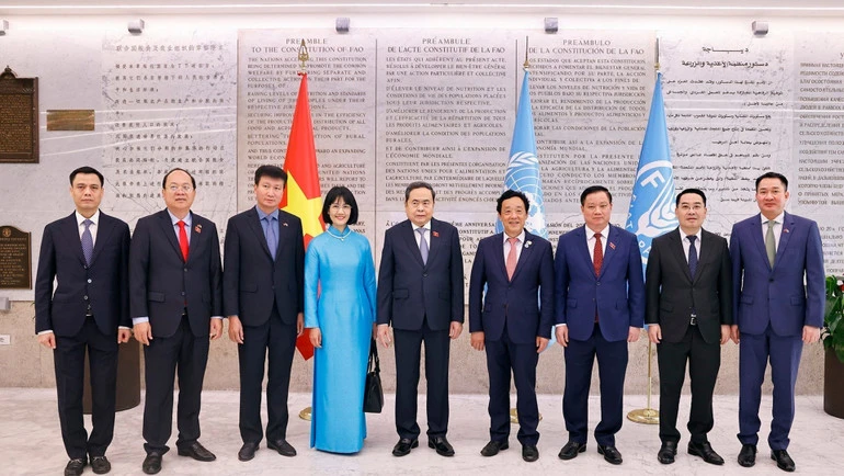 Nâng cao giá trị gia tăng và phát triển nông nghiệp xanh, bền vững, thông minh Nâng cao giá trị gia tăng và phát triển nông nghiệp xanh, bền vững, thông minh