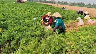 Nâng cao hiệu quả công tác giải quyết đơn thư, khiếu nại, tố cáo của công dân