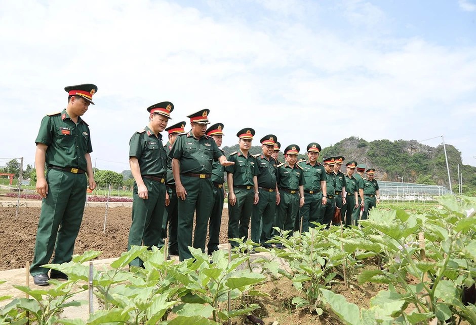 Nâng cao hiệu quả tăng gia sản xuất, chế biến trong Quân đội
