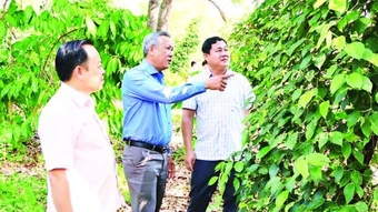 Nâng cao năng lực đội ngũ cán bộ cơ sở