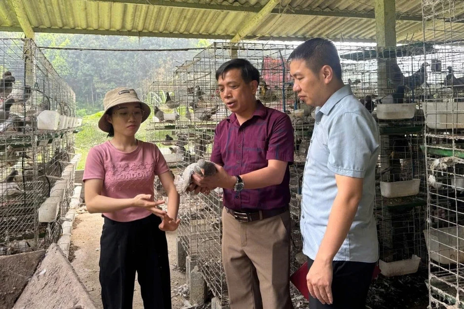Ngành Tuyên giáo và dân vận khẳng định vị thế nòng cốt trên mặt trận tư tưởng Ngành Tuyên giáo và dân vận khẳng định vị thế nòng cốt trên mặt trận tư tưởng