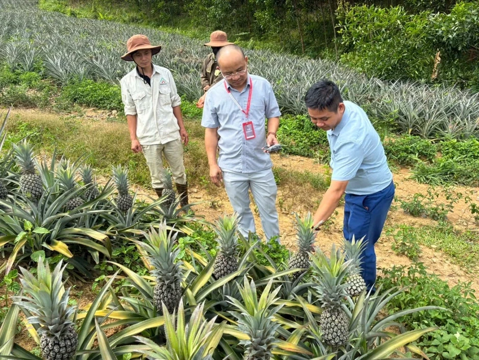 Nghệ An biến Nghị quyết của Đảng thành đòn bẩy phát triển kinh tế - xã hội