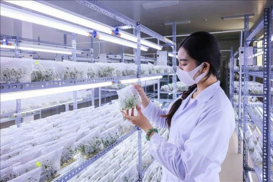 Nghị quyết 57/NQ-TW: Đột phá là đời sống của người dân được cải thiện rõ rệt hơn Nghị quyết 57/NQ-TW: Đột phá là đời sống của người dân được cải thiện rõ rệt hơn
