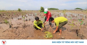 Nghị quyết về chủ động ứng phó với biến đổi khí hậu trong thời kỳ mới