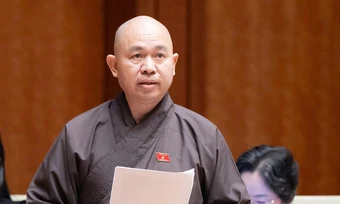 'Nhà nước nên đồng tài trợ đấu giá cổ vật quý hồi hương'