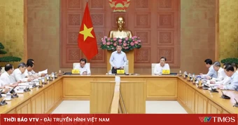Nhà ở cho thuê là phân khúc chiến lược, dài hạn