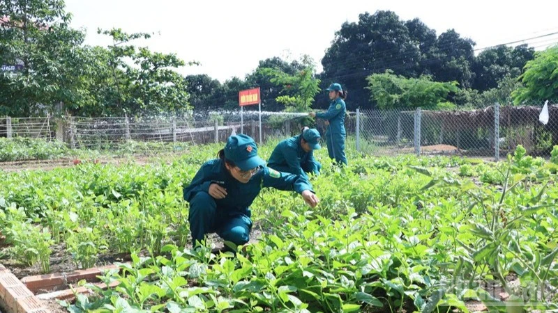 Những nữ dân quân giỏi trên thao trường, đảm việc bếp Những nữ dân quân giỏi trên thao trường, đảm việc bếp