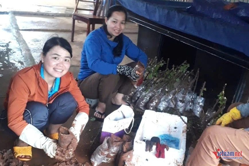 Nữ Bí thư chi bộ xin trả lại 229 triệu đồng theo Nghị định 154 để ở lại công tác