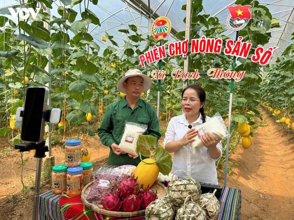 Nữ Bí thư xã livestream bán nông sản, hơn 2.000 quả dưa lưới được chốt đơn Nữ Bí thư xã livestream bán nông sản, hơn 2.000 quả dưa lưới được chốt đơn