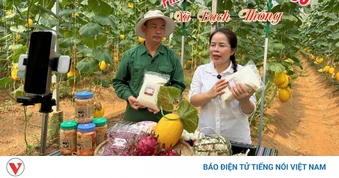 Nữ Bí thư xã livestream bán nông sản, hơn 2.000 quả dưa lưới được chốt đơn