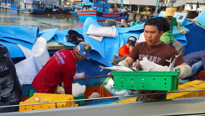 Phó Chủ tịch UBND TPHCM Hoàng Nguyên Dinh kiểm tra cảng cá