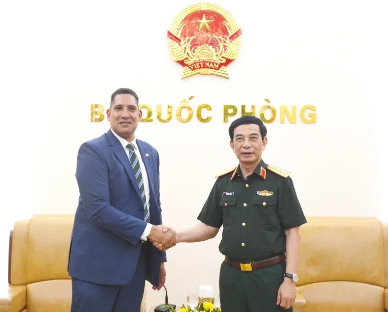 Phó Thủ tướng, Bộ trưởng Bộ Quốc phòng tiếp Đại sứ Thụy Điển và Đại sứ Algeria