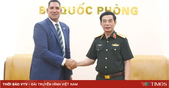 Phó Thủ tướng, Bộ trưởng Bộ Quốc phòng tiếp Đại sứ Thụy Điển và Đại sứ Algeria