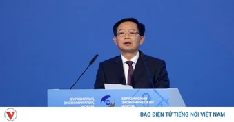 Phó Thủ tướng Hồ Quốc Dũng dự Phiên toàn thể Diễn đàn Kinh tế Á - Âu
