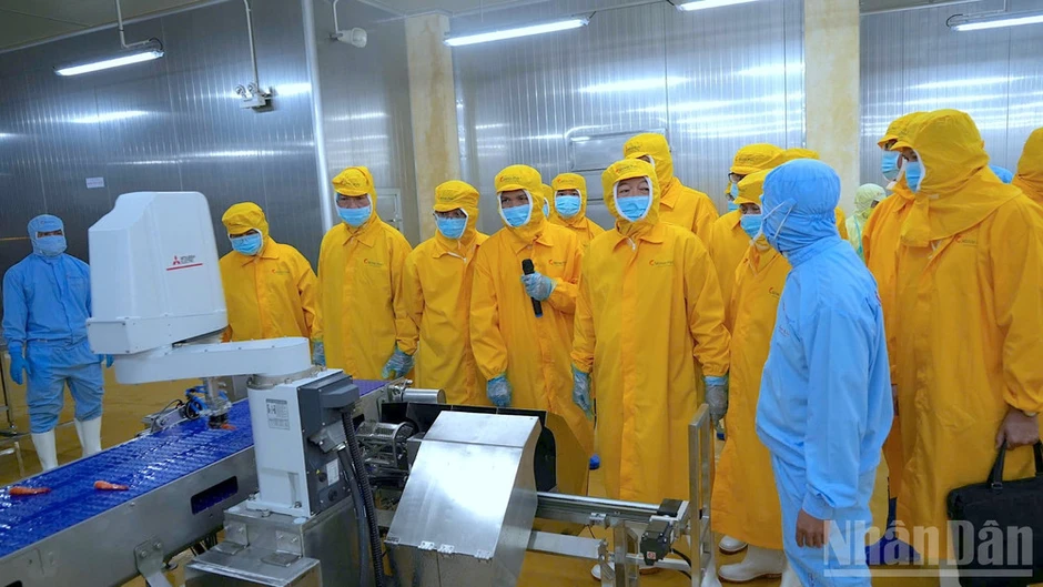 Phó Thủ tướng Hồ Quốc Dũng khảo sát xưởng chế biến tôm và tình hình sạt lở tại Cà Mau Phó Thủ tướng Hồ Quốc Dũng khảo sát xưởng chế biến tôm và tình hình sạt lở tại Cà Mau