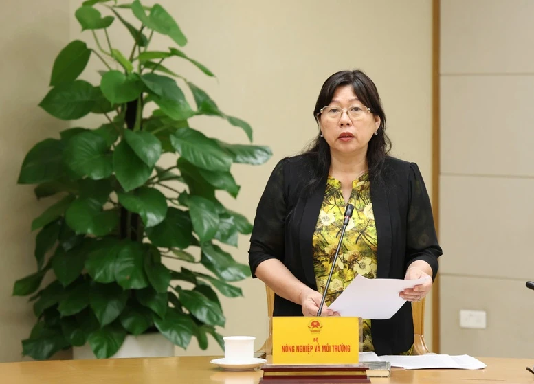 Phó Thủ tướng Hồ Quốc Dũng: Không lùi tiến độ xây dựng cơ sở dữ liệu đất đai, hoàn thành trong năm 2026 Phó Thủ tướng Hồ Quốc Dũng: Không lùi tiến độ xây dựng cơ sở dữ liệu đất đai, hoàn thành trong năm 2026