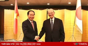 Phó Thủ tướng Lê Tiến Châu tiếp Hội đồng Thúc đẩy ngoại giao nhân dân Nhật Bản