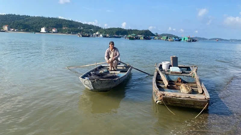 Quảng Ninh: Gần 400 nghìn cử tri đồng loạt bầu cử Trưởng thôn, bản, khu phố nhiệm kỳ 2026-2031 Quảng Ninh: Gần 400 nghìn cử tri đồng loạt bầu cử Trưởng thôn, bản, khu phố nhiệm kỳ 2026-2031