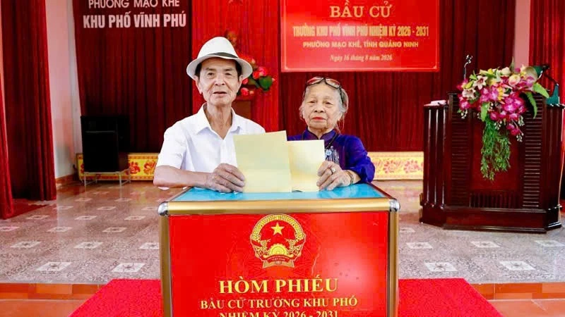 Quảng Ninh: Gần 400 nghìn cử tri đồng loạt bầu cử Trưởng thôn, bản, khu phố nhiệm kỳ 2026-2031 Quảng Ninh: Gần 400 nghìn cử tri đồng loạt bầu cử Trưởng thôn, bản, khu phố nhiệm kỳ 2026-2031