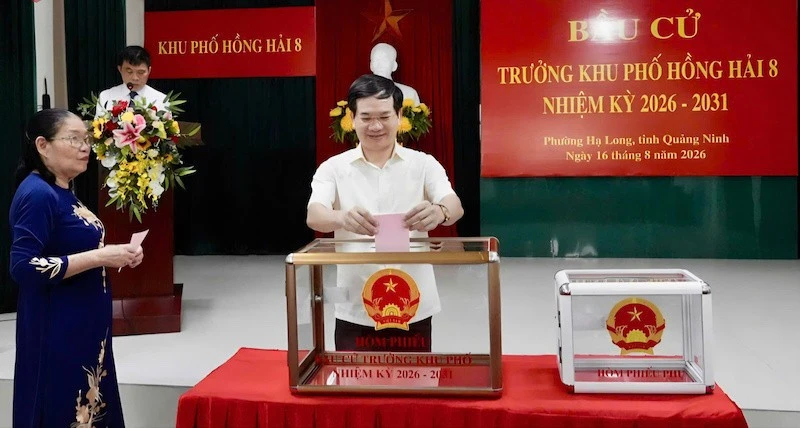 Quảng Ninh: Gần 400 nghìn cử tri đồng loạt bầu cử Trưởng thôn, bản, khu phố nhiệm kỳ 2026-2031 Quảng Ninh: Gần 400 nghìn cử tri đồng loạt bầu cử Trưởng thôn, bản, khu phố nhiệm kỳ 2026-2031